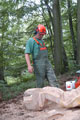 Click to see it big Ich mit Kettensäge, Impression aus dem Wald